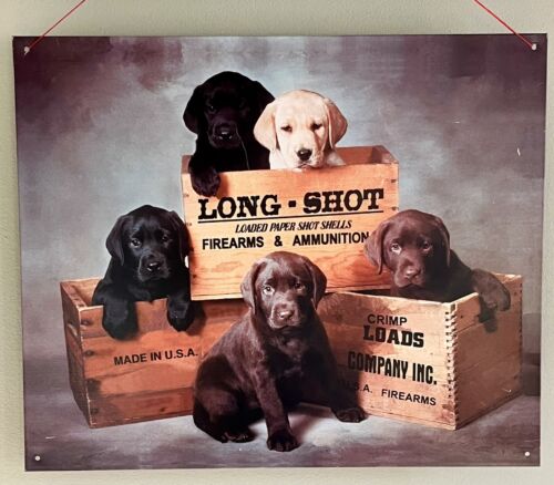 1996 Blech Metall Wandschild Long Shot Muschel Box Munition Werbung Labor Labrador Hund Welpe Welpe - Bild 1 von 20