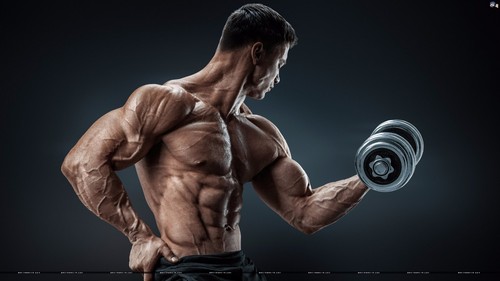 Enhancement all premium - L-ARGININE 500MG 3B - l-arginine liquid - Picture 5 of 12