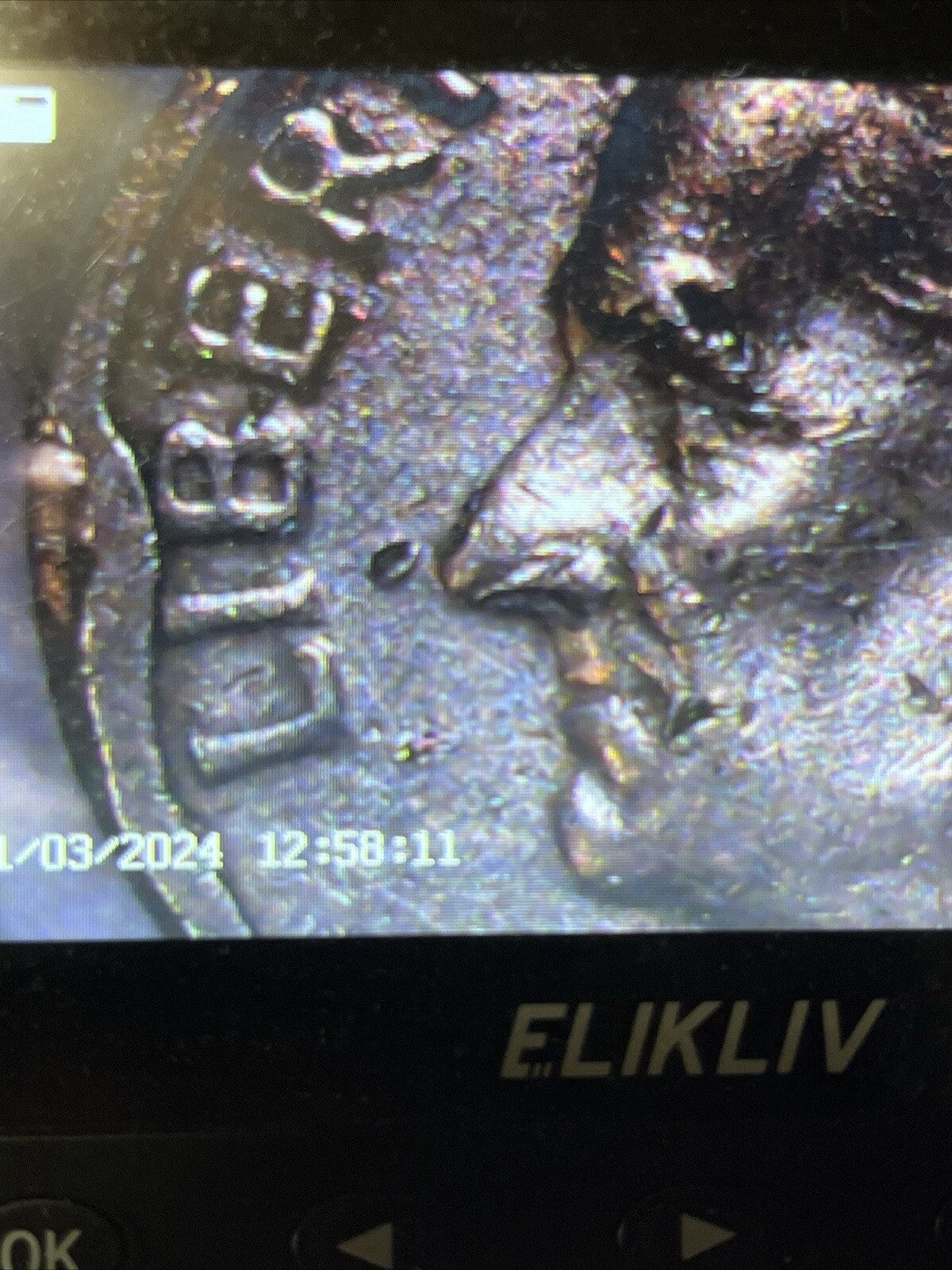 Picture 20 of 20