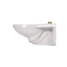 Zurn Z5615-BWL Toilet Bowl Only, 1.28 gpf Wall Hung Elongated Toilet