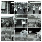 Afbeelding 3 van 12