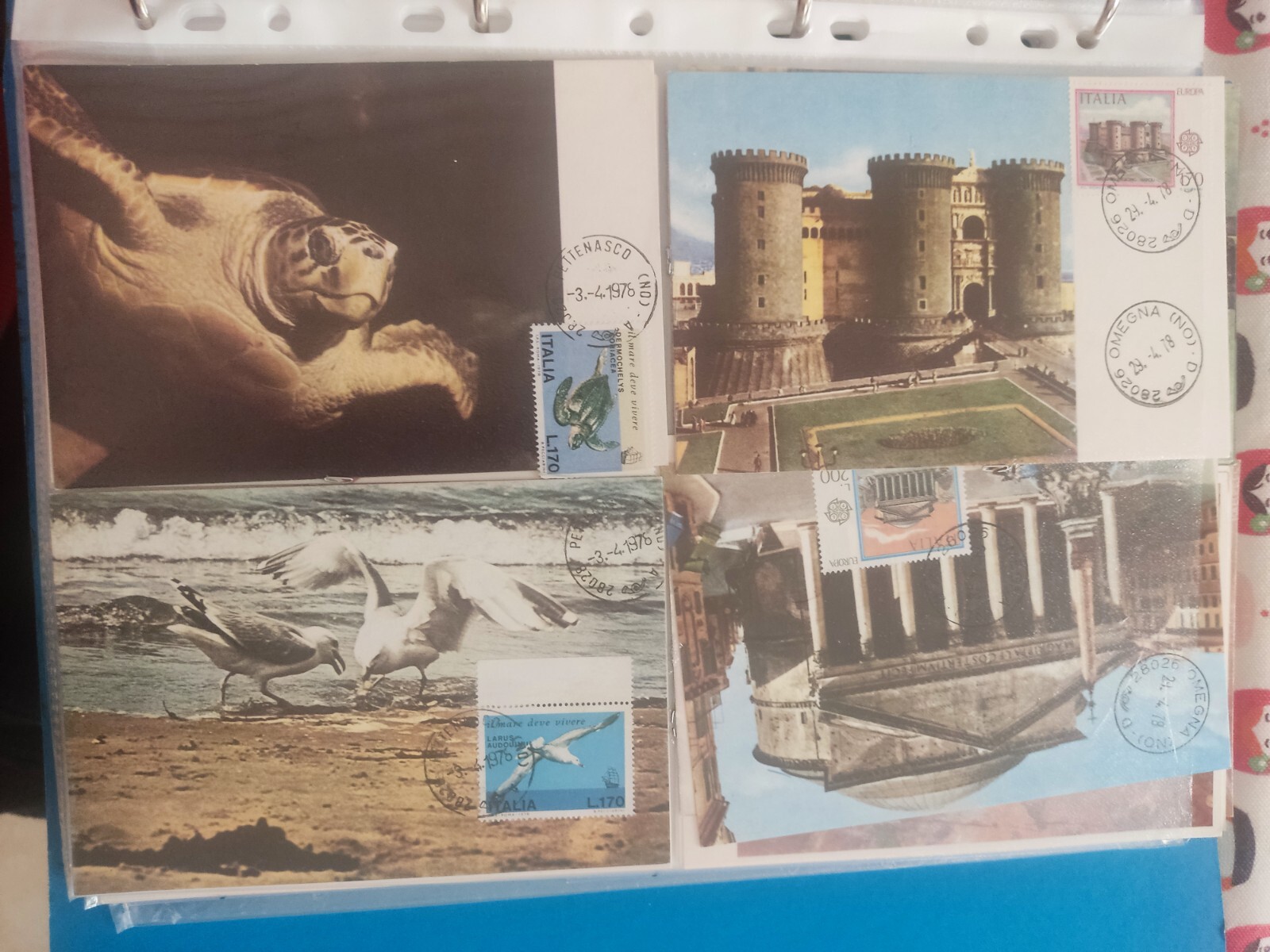 Foto 1 di 6