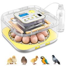 12 Egg Incubator for Hatching Chicks with Automatic Egg Turning 360  Clear View  