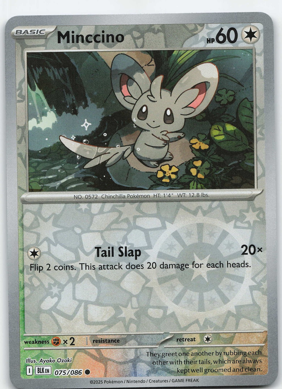 Minccino 075/086 Common Reverse Holo SV: Black Bolt NM Pokémon