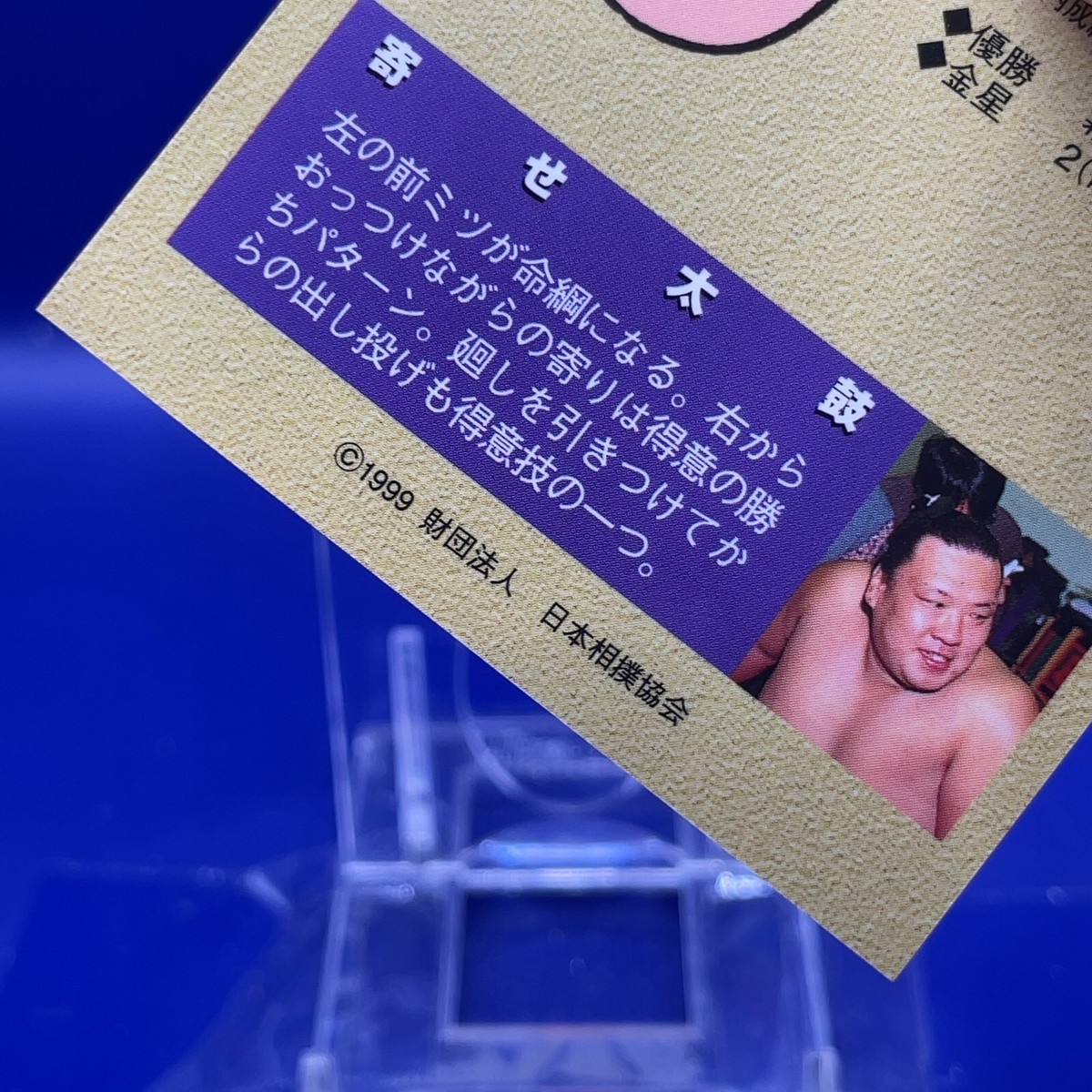 Higonoumi Naoya - BBM Sumo Wrestler Trading Card 1999 Japan
