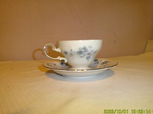 Haviland Blue Garland China Tea/Coffee Cup and Saucer