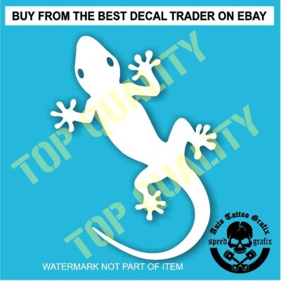 GEKO LIZARD Decal Sticker for Boat Car Truck Van Eski Fridge Etc