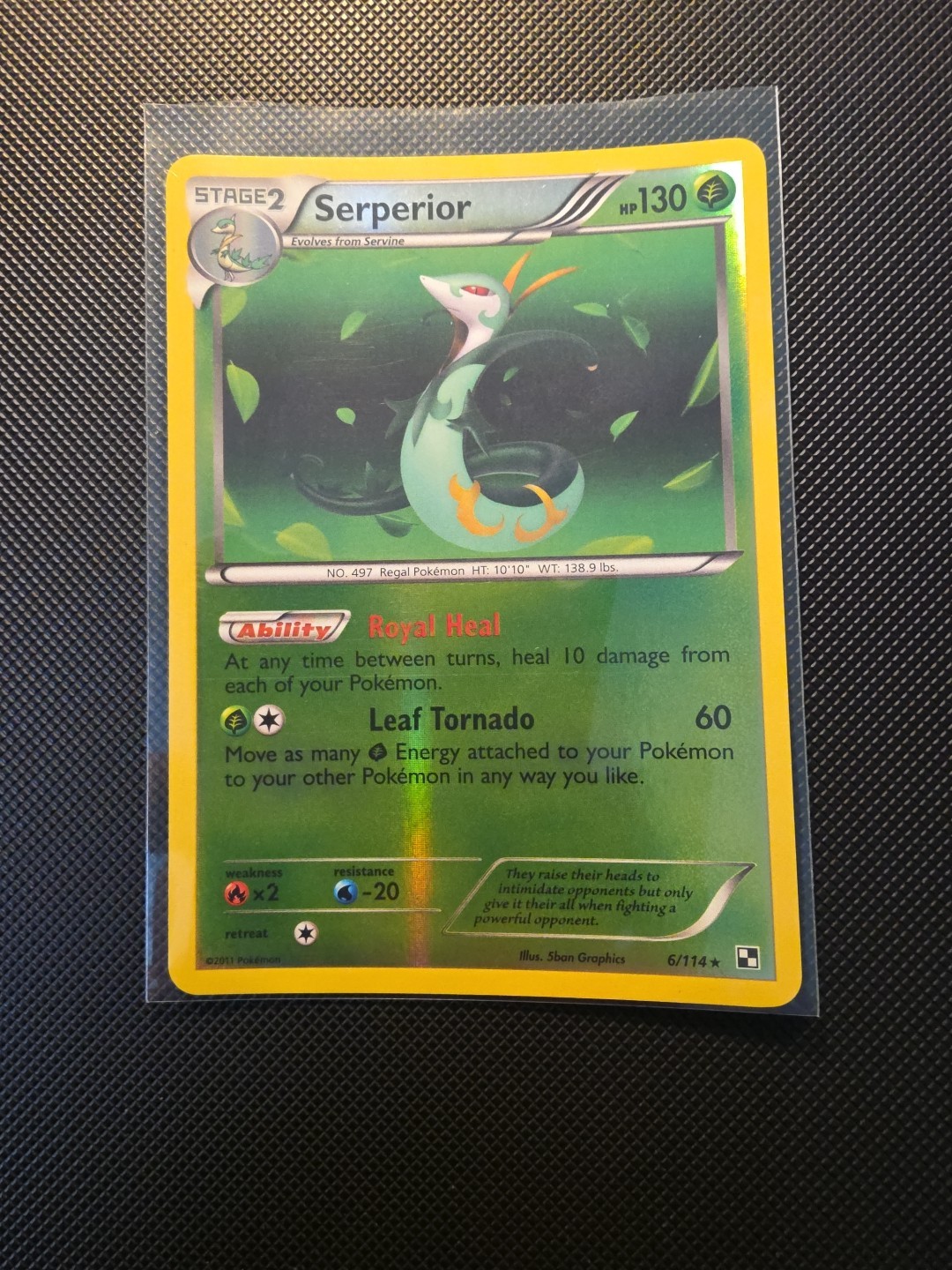 Pokémon TCG Serperior 6/114 Reverse Holo 2011 Black & White