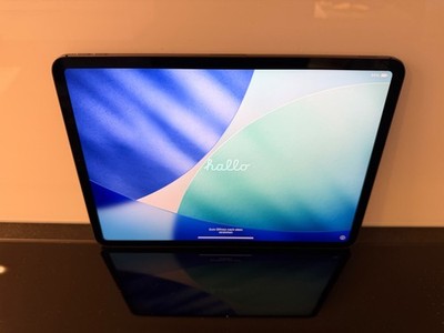 APPLE iPad Pro 11 Zoll 256GB Wi-Fi Cellular Space Grey 1. Gen A1934 MU102FD/A 4G