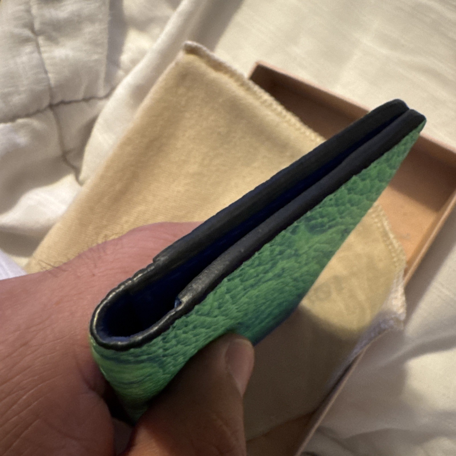Louis Vuitton X Virgil Abloh Pocket Organizer Taurillon Illusion Blue/Green image 2