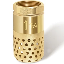 1-1/4Inch Brass Foot Valve with Spring Mesh Strainer Check Female NPT Connection