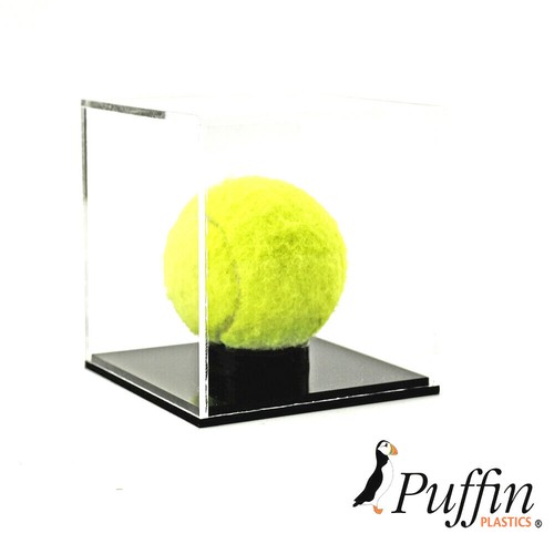 Plastic Tennis Ball Display Case eBay