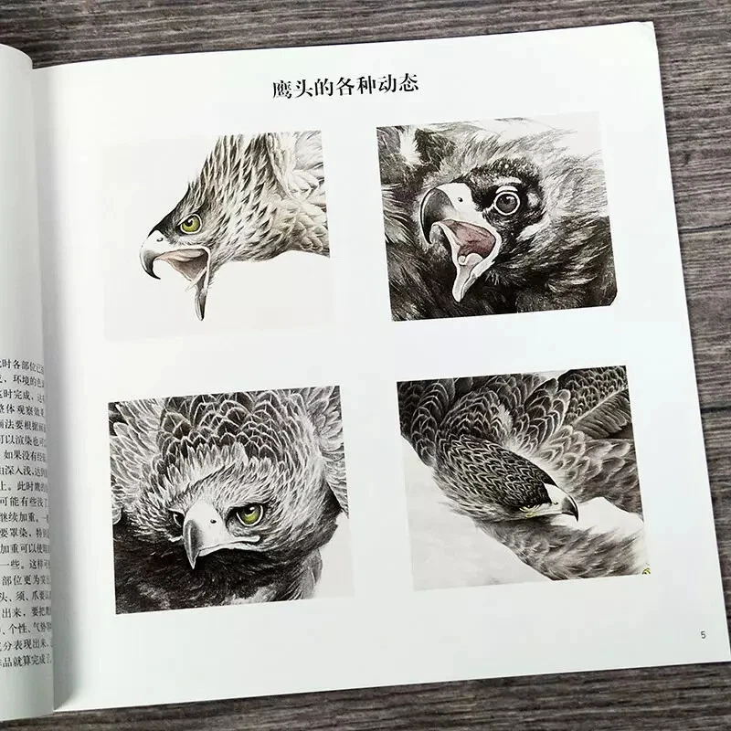 Libro de referencia de tatuaje flash boceto águila halcón pintura caligrafía china Foto 4 de 4