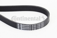 Continental Ctam 6PK1153 Rippenriemen FüR Bmw, CitroëN, Dacia, Ds, Fiat, Ford