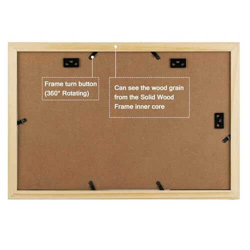 Marco de documentos 11x17 para diploma de 8x10 y cuadro de madera maciza de 4x6 con vidrio real Foto 2 de 4