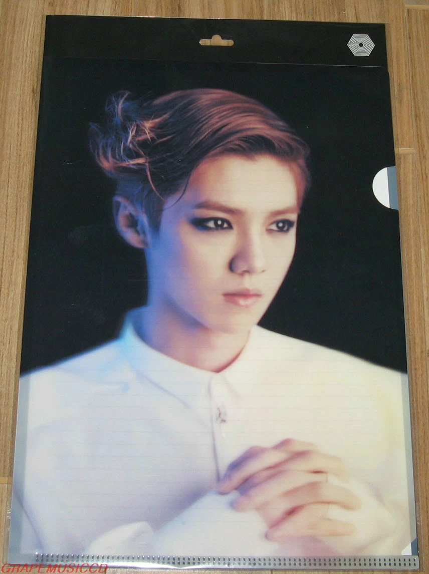 EXO OVERDOSE SM LOTTE POP UP STORE GOODS EXO-M LUHAN L-HOLDER CLEAR FILE  NEW | eBay
