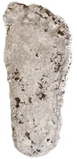 SD STUDIOS Arcane Artifacts Bigfoot Foot Print Full Size Track Casting Replica