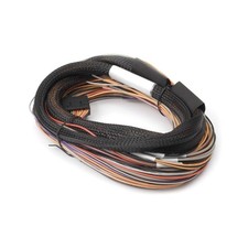 Haltech Io 12 Expander Box 8ft Flying Lead Harness Ab Box Ht-049902 Haltech Io 12 Expander Box 8ft Flying Lead Harness Ab Box Ht-049902