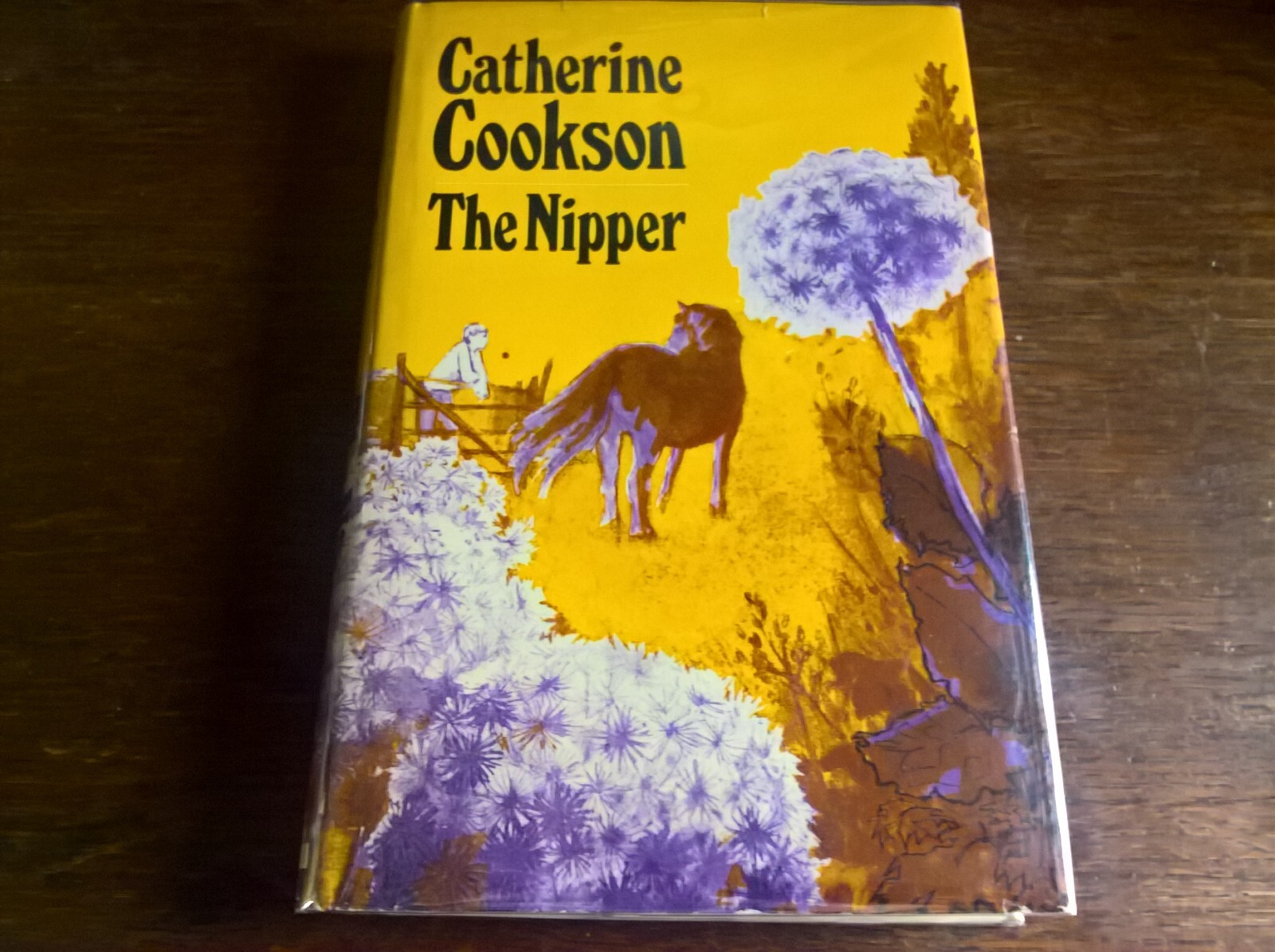 The Nipper by Catherine Cookson 1st edn hb dj children's fiction