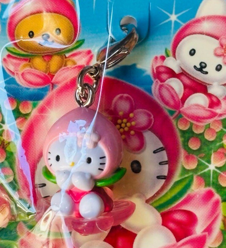 Hello Kitty Peach Vintage zipper charm SANRIO Gotochi strap Japan