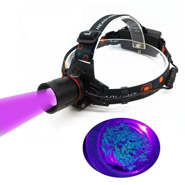 5W Rechargeable Zoom UV Blacklight Headlamps Scorpions Hunting UV USB