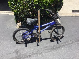 iron horse delinquent bmx bike