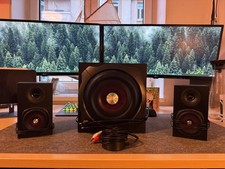 Speedlink GRAVITY CARBON 2.1 Subwoofer System - Bastler / Teildefekt