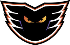 Lehigh Valley Phantoms sticker weatherproof bumper vinyl decal