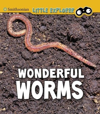 Megan Cooley Peterson Wonderful Worms (Taschenbuch) Insect Explorer