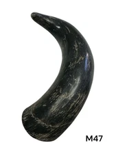 ONE MEDIUM UNPOLISHED COW HORN , REAL HORN , ONE OF A KIND , NATURAL COLOR , #47