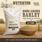12.5kg Home-Grown Barley Feed for Hens and Ducks – Clean Natural Poultry Grain