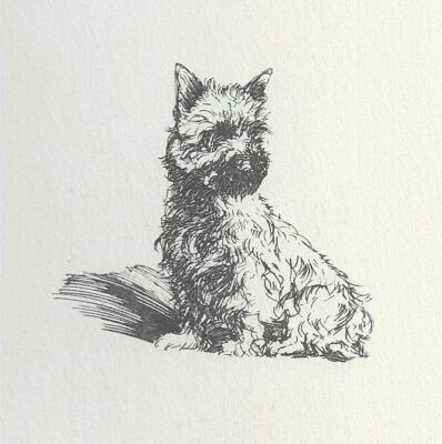 Cairn Terrier - CUSTOM MATTED - Vintage Dog Art Print - 1932 D. Thorne 