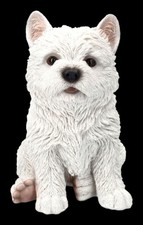Figurka West Highland Terrier - Szczeniak Westie - Dekoracja ogrodowa Hodowca Pies Westie