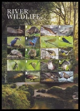 GB LS153 River Wildlife collector sheet MNH 2023
