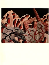 1974 Vintage MAGRITTE "THE WORLD'S BLOOD (SANG MONDE)" COLOR offset Lithograph