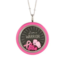 Origami Owl Breast Cancer Charms Pink Ribbon Awareness Glove Butterfly Be Brave
