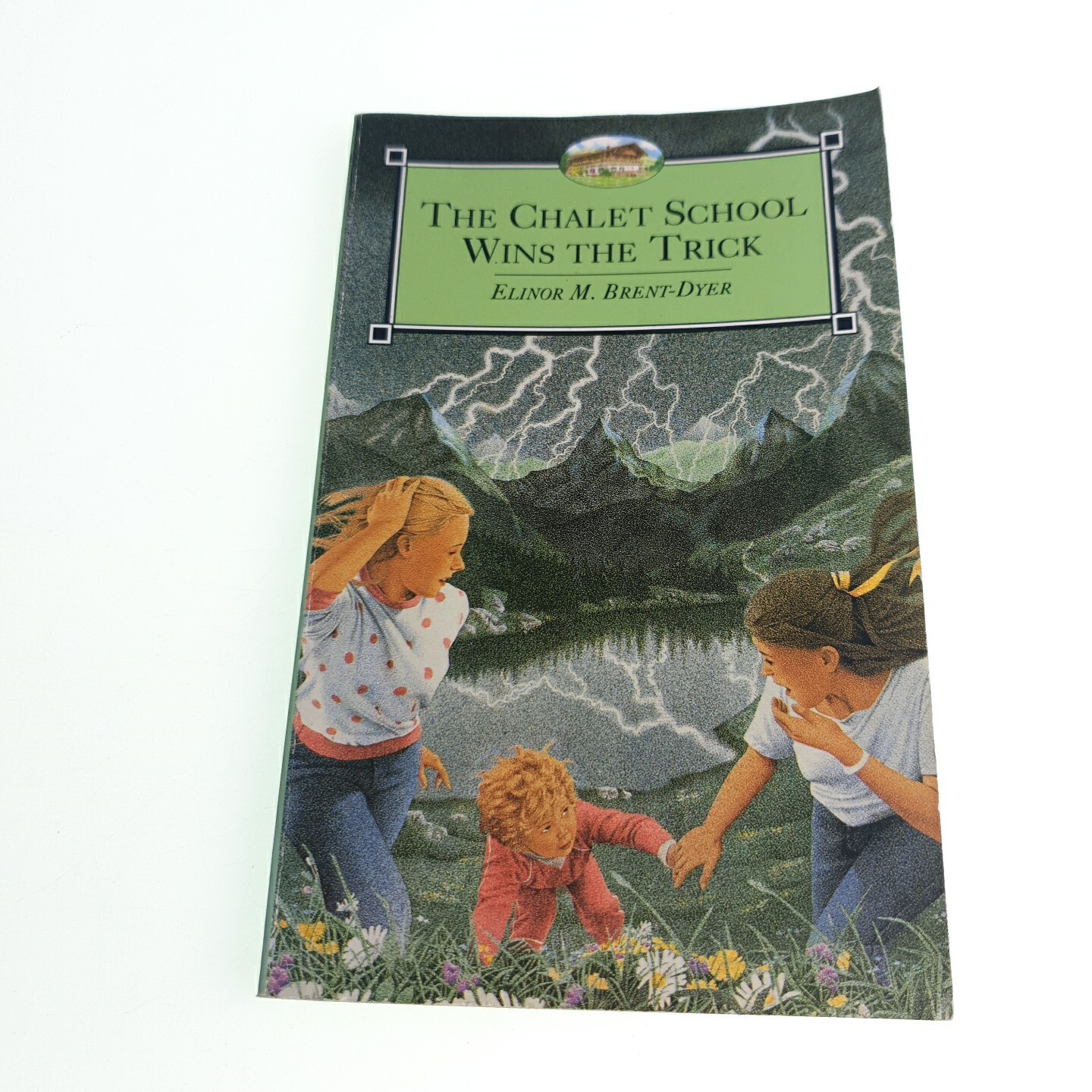 The Chalet School Wins the Trick Elinor M Brent Dyer 1993 Paperback Book