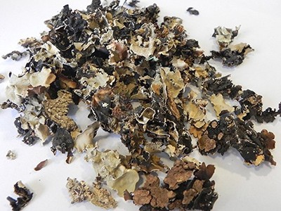 Indian Ayurveda Chad Chadila Whole |Parmelia Perlata Ach|Stone Flower|Shaileya