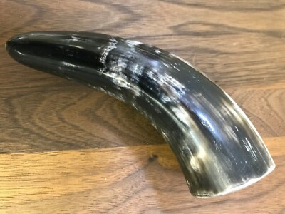 Vintage Authentic Vintage Polished Animal Cow Horn 