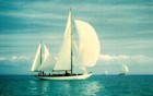 Sailboat Smooth Sailing Postcard