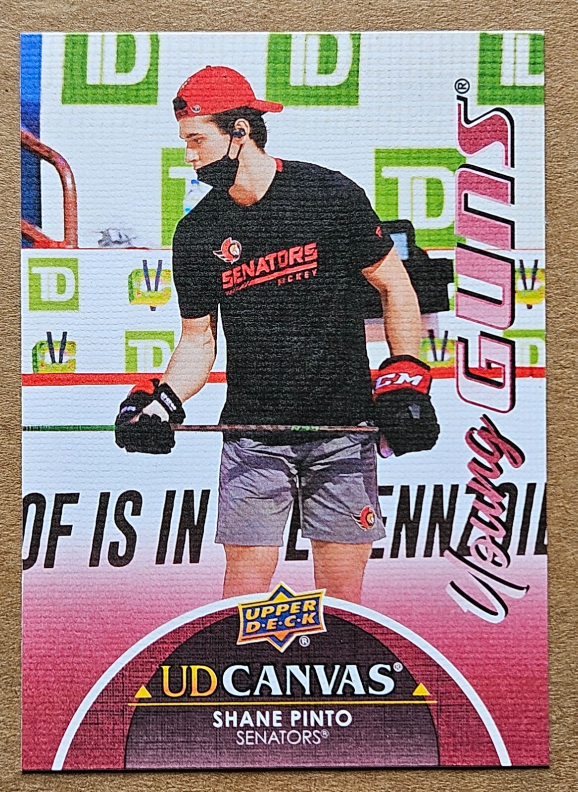 2021-2022 Upper Deck Series 1 Shane Pinto UD Canvas #C103 Young Guns