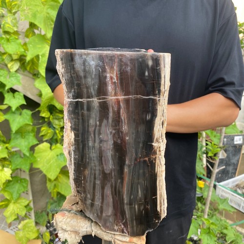 37lb Rare Natural petrified wood rough Wood fossil mineral specimen healing - Picture 3 of 18