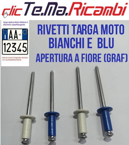 200 RIVETTO RIVETTI TARGA AUTO CAMION MOTO 4,8x12 COLORI BIANCHI E BLU A SCELTA - Foto 4