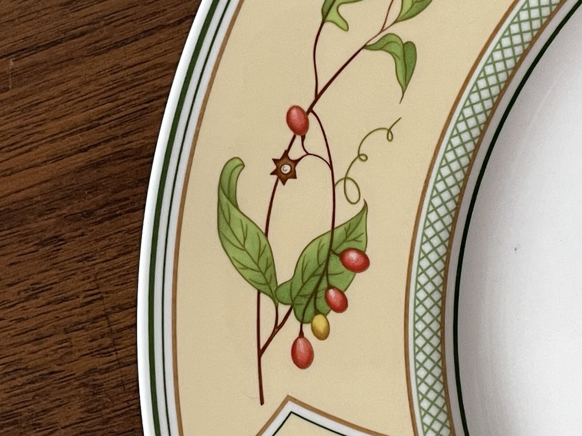 Villeroy & Boch Eden Garden Yellow Green 5-Pc Dinner Place Setting
