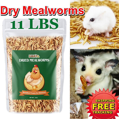 Lucky Q Non-GMO Dried Mealworms 11LBS Bulk Mealworms for Birds Chickens Pet Feed