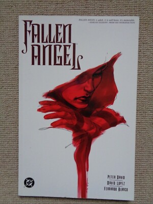 Fallen Angel Vol 1 by Peter David  + David Lopez DC Paperback BRAND NEW 