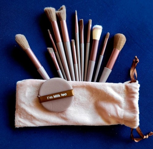 Professional 11pcs Makeup Brush Set Nude Brown Velvet Case Powder Puff Gift Pack