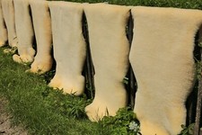 Natural Fur Baby Lambskin Ecological Tanning