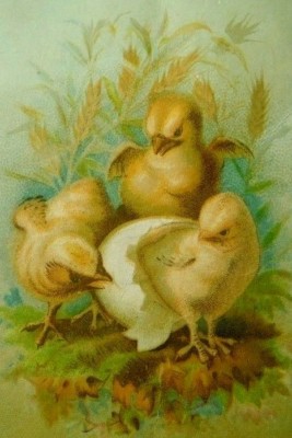 Easter Three Chicks Egg Field Victorian Trade Card C3
