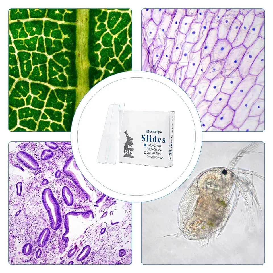 50/100/200/300Pcs Microscope Slides Concave Single concave 50Pc Glass Slide - Image 3 of 4